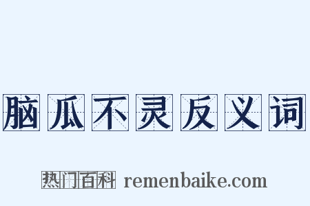 脑瓜不灵反义词是什么意思的图片